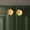 Elegant Flower Cabinet Knobs in Brass for Dressers, Wardrobes and Cabinets