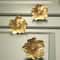 Elegant Flower Cabinet Knobs in Brass for Dressers, Wardrobes and Cabinets
