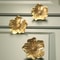 Elegant Flower Cabinet Knobs in Brass for Dressers, Wardrobes and Cabinets