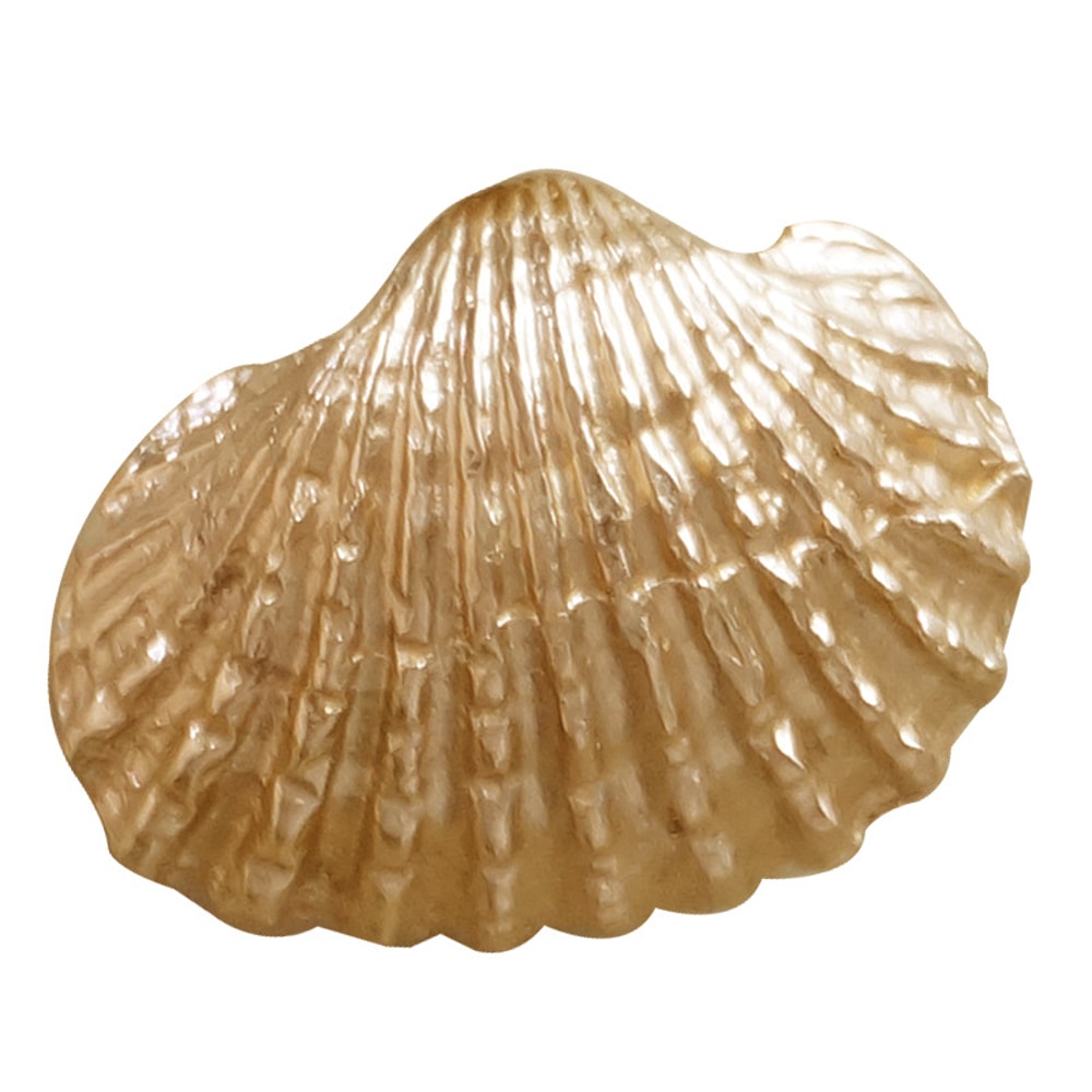 Brass Shell Cabinet Knobs Gold Drawer Pulls for Cupboards and Furniture