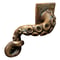 Vintage Octopus Cabinet Handle Nautical Drawer Pull 0