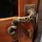 Vintage Octopus Cabinet Handle Nautical Drawer Pull 1