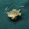 Copper Turtle Cabinet Knobs For Drawers Dressers And Coastal Decor 1