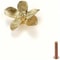 Golden Flower Cabinet Knobs Petal Drawer Pulls For Dressers And Wardrobes 6