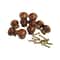 Round Wooden Cabinet Knobs for Drawers Cupboards and Dressers