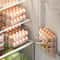 Saving Egg Organizer for Refrigerator