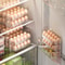 Saving Egg Organizer for Refrigerator