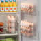Saving Egg Organizer for Refrigerator