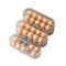 Saving Egg Organizer for Refrigerator