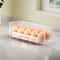 Saving Egg Organizer for Refrigerator