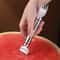 Stainless Steel Watermelon Fork Slicer 2