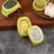 Stainless Steel Zester Grater for Cheese Garlic Ginger and Lemon