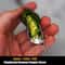 Stainless Steel Jalapeno Corer & Pepper Corer Tool Chili Seed Remover & Vegetable Corer