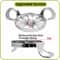 Extra Large Stainless Steel Apple Slicer & Fruit Corer Cutter