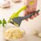 Stainless Steel Garlic Press Crusher Multifunction Garlic Ginger Mincer Handheld Kitchen Tool 1