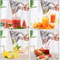 Aluminum Alloy Manual Juice Squeezer Hand Press Citrus Juicer for Pomegranate Orange Lemon