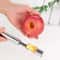 Stainless Steel Apple Corer and Fruit Slicer Kitchen Tool for Easy Fruit Prep