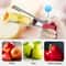 Stainless Steel Apple Corer & Fruit Slicer Easy Core Remover for Apples and Pears Kitchen Tool