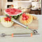 Fruit Platter Carving Knife Set Melon Baller, Ice Cream Scoop, Watermelon Slicer & Kitchen Tools Set