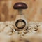 Mushroom Shaped Nutcracker Tongs Adjustable Multi Tool for Easy Cracking of Walnuts, Pecans, and More