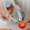 Stainless Steel Pineapple Corer and Fruit Corer Tool