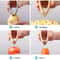 Stainless Steel Pineapple Corer and Fruit Corer Tool