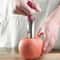 Stainless Steel Apple Corer Premium Fruit Seed Remover & Core Slicer for Pears, Apples, and Vegetables