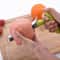 Stainless Steel Apple Corer Premium Fruit Seed Remover & Core Slicer for Pears, Apples, and Vegetables