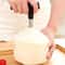Premium Stainless Steel Coconut Opener Fruit Hole Drill Tool 3
