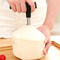 Premium Stainless Steel Coconut Opener Fruit Hole Drill Tool 3
