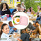 Portable Sandwich Container Lunch Box Reusable Microwave Food Storage Case 4