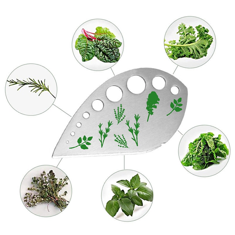 Premium Stainless Steel Vanilla Slicer Spice Peeler Multi Purpose Kitchen Tool 2