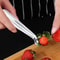 Tomato & Strawberry Corer Remover Tool Easy Fruit Stem Remover