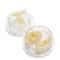 Multi Functional Garlic & Ginger Manual Grinder for Kitchen Use