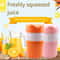 Premium Manual Citrus Juicer Portable Fruit Lemon Squeezer 2