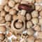 Mushroom Nutcracker Adjustable Walnut & Nut Cracker Tool