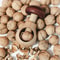 Mushroom Nutcracker Adjustable Walnut & Nut Cracker Tool
