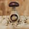 Mushroom Nutcracker Adjustable Walnut & Nut Cracker Tool