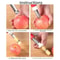 Premium Fruit Peeler Core Remover Stainless Steel Anti Slip 4