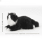 Plush Kitten Realistic Stuffed Animal Cat for Kids, Soft Cuddly Gift for Birthday & Playtime