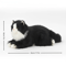 Plush Kitten Realistic Stuffed Animal Cat for Kids, Soft Cuddly Gift for Birthday & Playtime