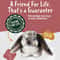 Soft Stuffed Animal Bunny Plush Rabbit Toy for Kids & Home Decor