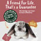 Soft Stuffed Animal Bunny Plush Rabbit Toy for Kids & Home Decor
