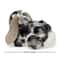 Soft Stuffed Animal Bunny Plush Rabbit Toy for Kids & Home Decor