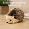 Plush Hedgehog Toy Soft Stuffed Animal Gift for Kids