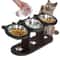 Elevated Cat Bowl with Black Wooden Stand Stainless Steel Sloped Feeder