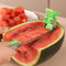 Premium Stainless Steel Watermelon Cutter & Fruit Slicer for Cubes