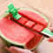 Premium Stainless Steel Watermelon Cutter & Fruit Slicer for Cubes