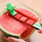 Premium Stainless Steel Watermelon Cutter & Fruit Slicer for Cubes