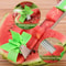 Premium Stainless Steel Watermelon Cutter & Fruit Slicer for Cubes